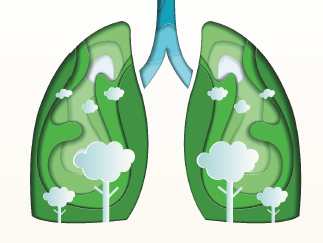草本养肺，呼吸更畅意！